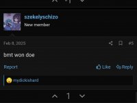 Screenshot_20250801_185700_Brave.jpg